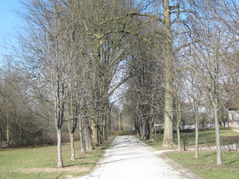 Tivolski drevored