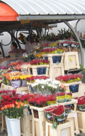 Cvetlična tržnica v prehodu med stolnico in Semeniščem.