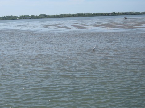 tržaški zaliv tržaški zaliv