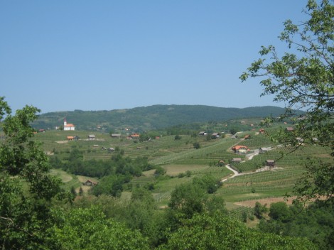 Pogled na okolico Drašičev