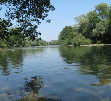 Reka Krka