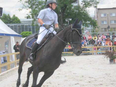 Usklajenost in skladnost