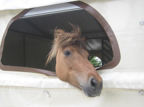 Halo, jaz sem tudi tukaj, bo še mene gdo "počohal"? 